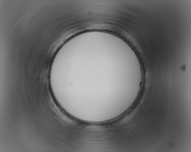 X0000116631033200912312155