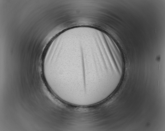 X0000116631034200912312155