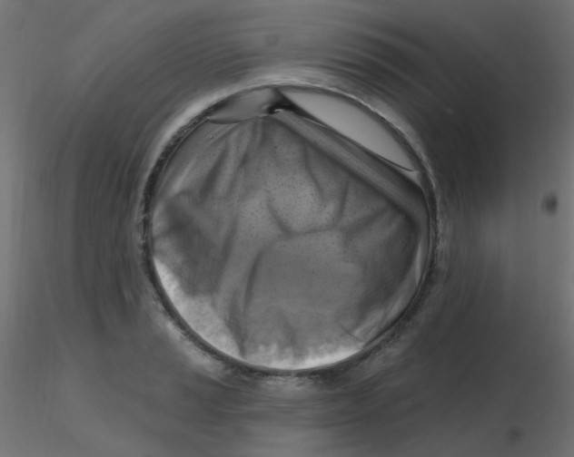 X0000116631037200912312155