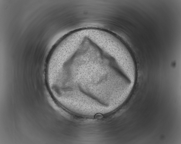 X0000116631038200912312155