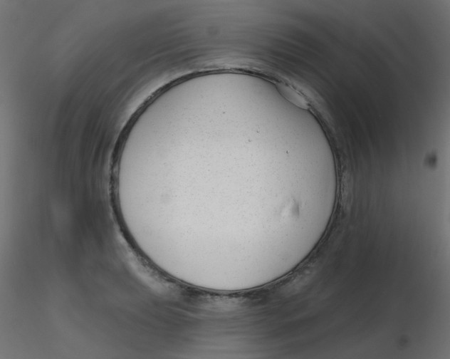 X0000116631039200912312155