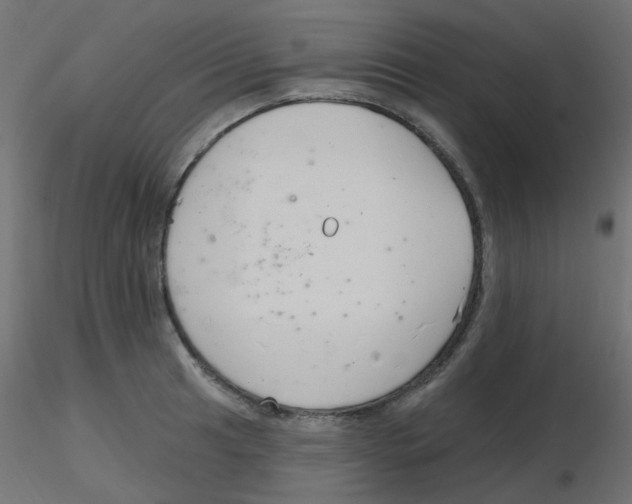 X0000116631041200912312155