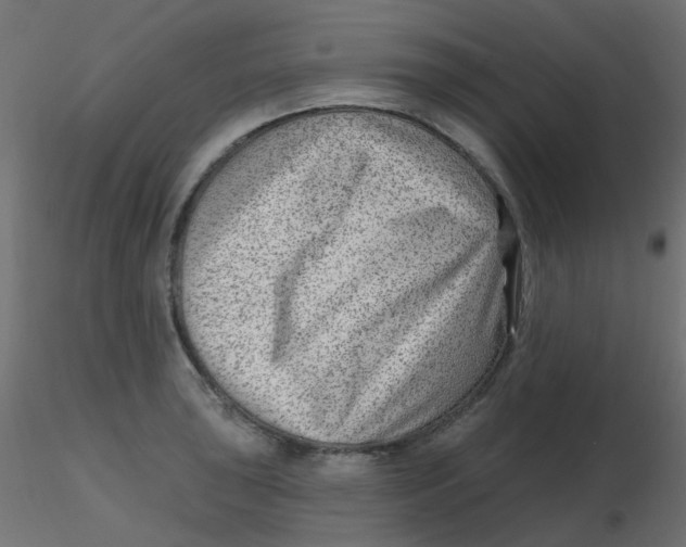 X0000116631043200912312155