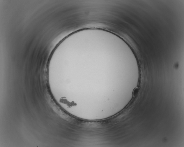 X0000116631044200912312155