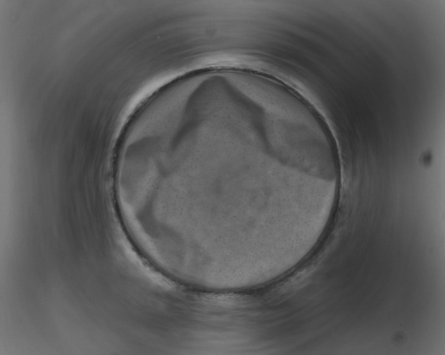 X0000116631045200912312155