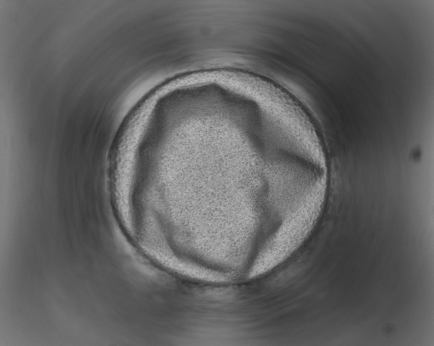 X0000116631047200912312155