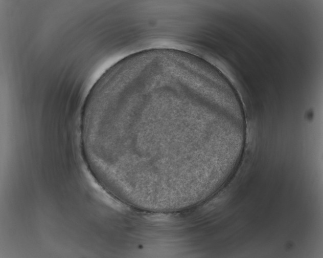 X0000116631048200912312155