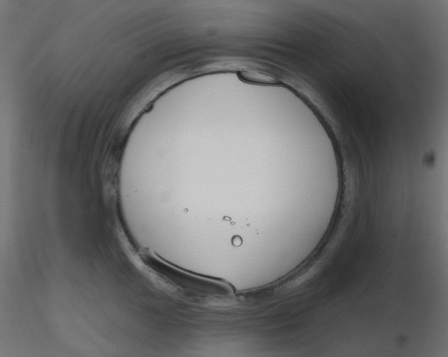 X0000116631049200912312156