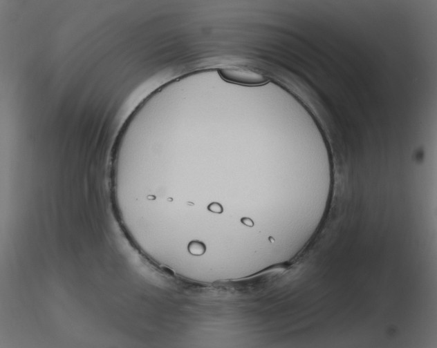 X0000116631050200912312156