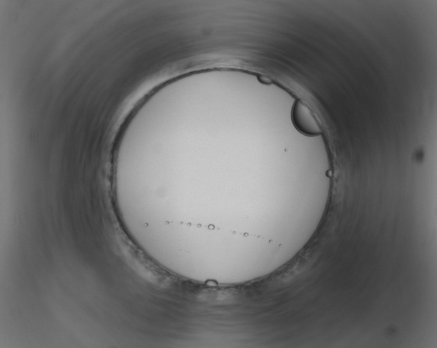 X0000116631051200912312156