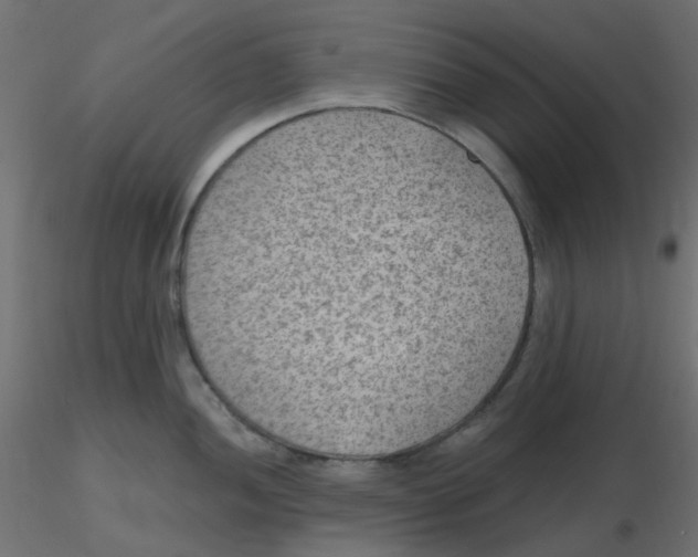 X0000116631052200912312156