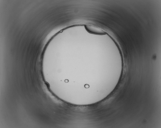 X0000116631053200912312156