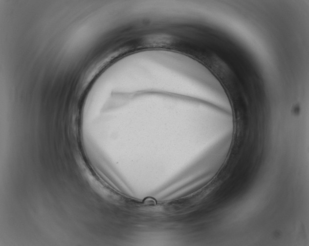 X0000116631054200912312156