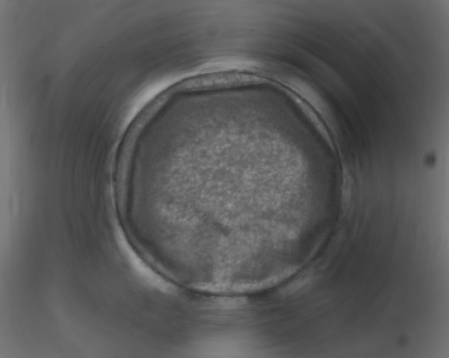 X0000116631055200912312156