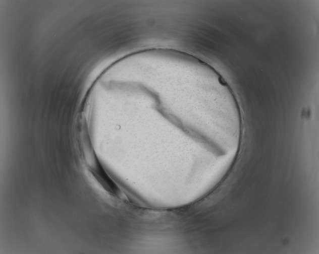X0000116631056200912312156