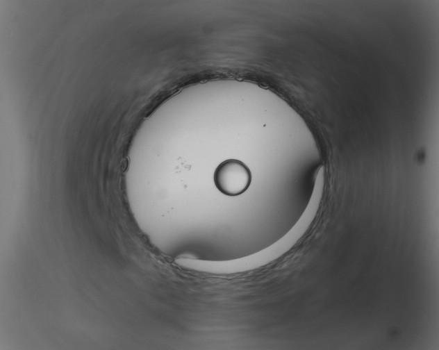 X0000116631057200912312155