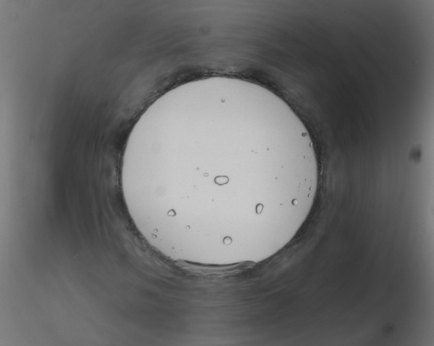 X0000116631058200912312155