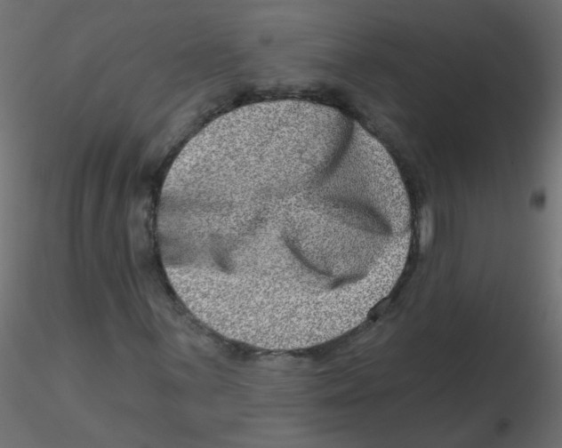X0000116631059200912312155
