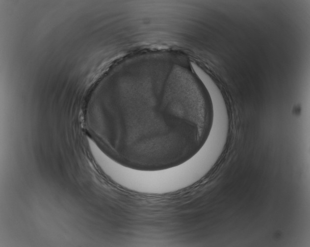 X0000116631060200912312155