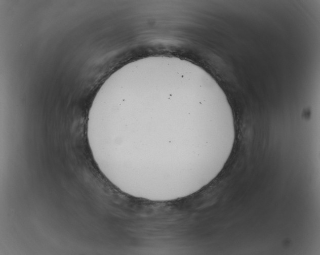 X0000116631061200912312155