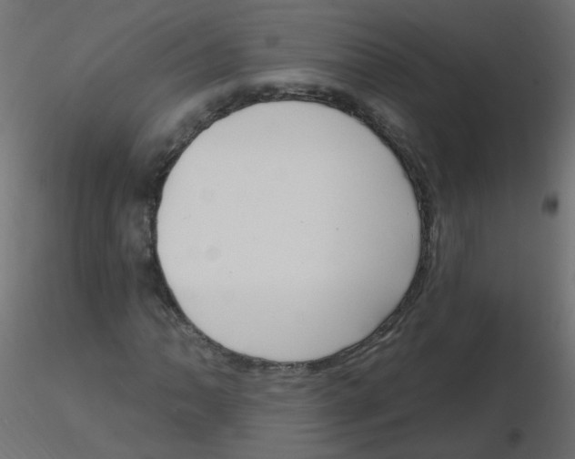 X0000116631062200912312155