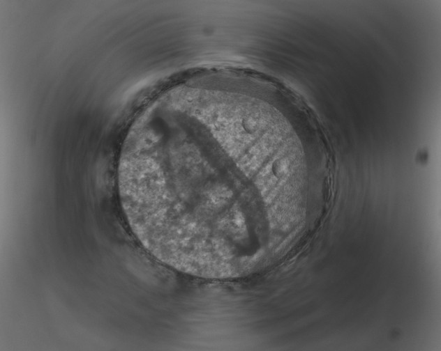 X0000116631063200912312155