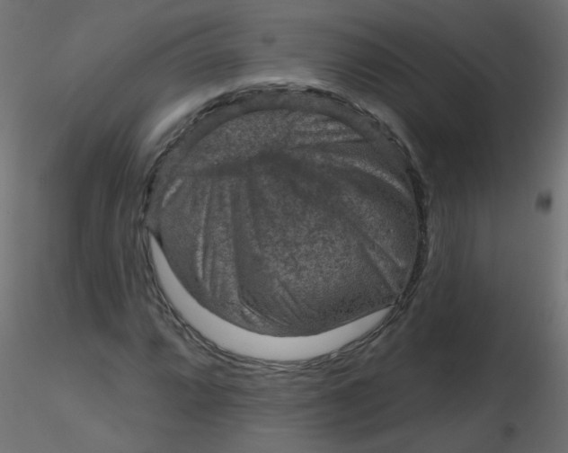 X0000116631064200912312155