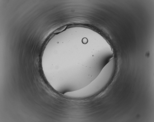 X0000116631065200912312155