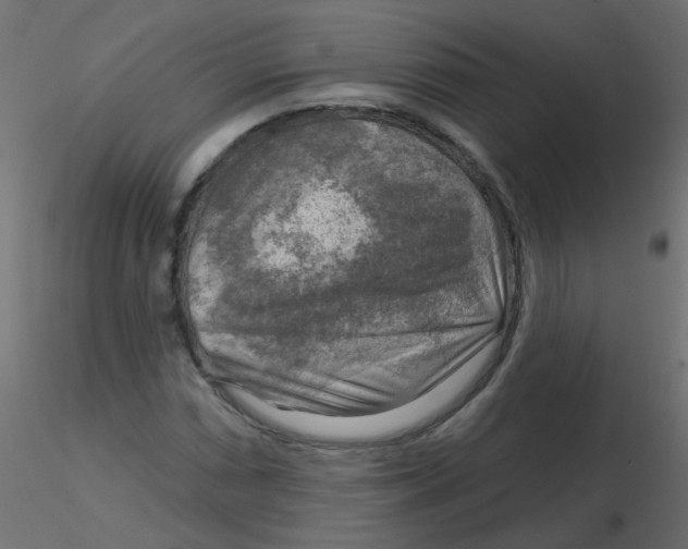 X0000116631066200912312155