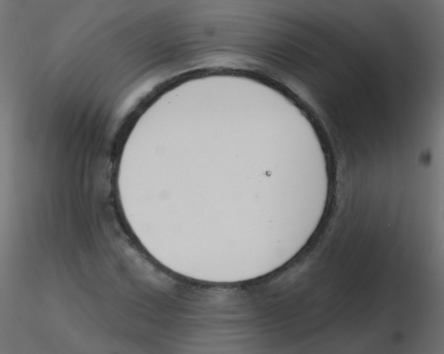 X0000116631067200912312155