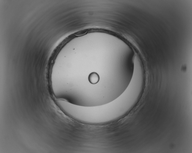 X0000116631068200912312155