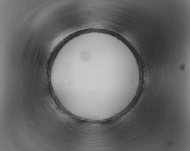 X0000116631070200912312155