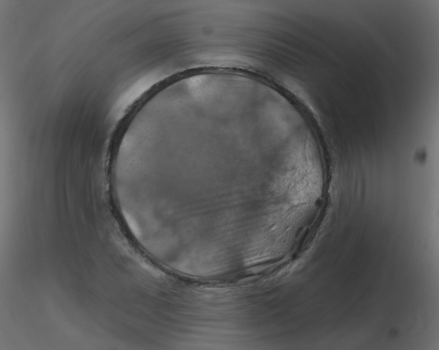 X0000116631071200912312155