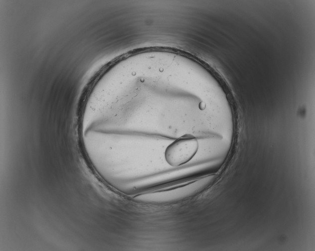 X0000116631072200912312155