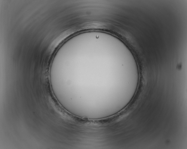 X0000116631073200912312155