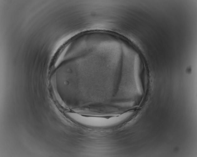 X0000116631077200912312155