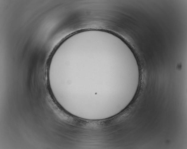 X0000116631078200912312155