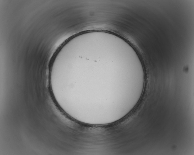 X0000116631079200912312155