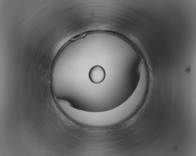 X0000116631081200912312155