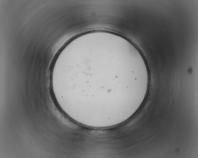 X0000116631082200912312155