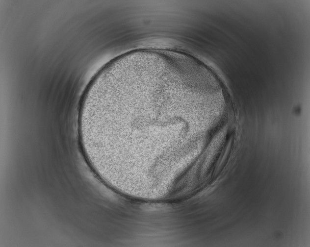 X0000116631083200912312155