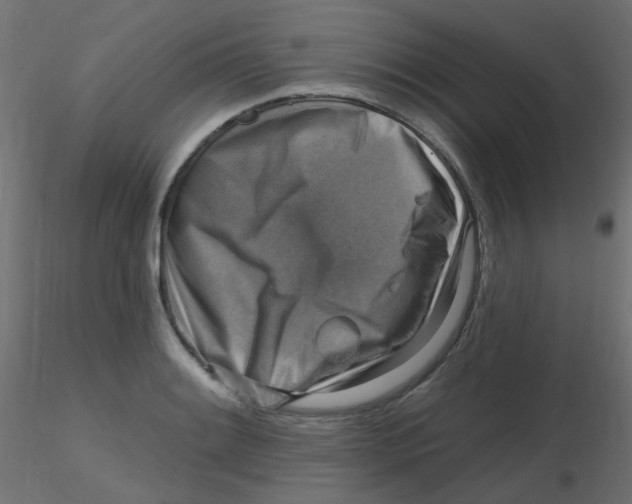 X0000116631084200912312155