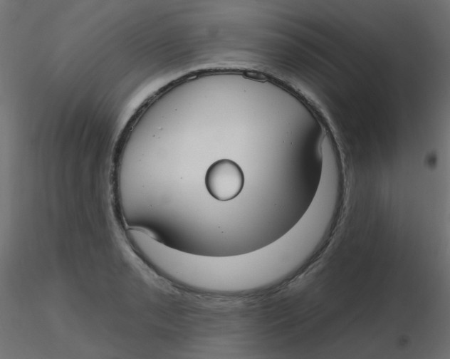 X0000116631085200912312155