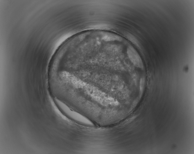 X0000116631087200912312155