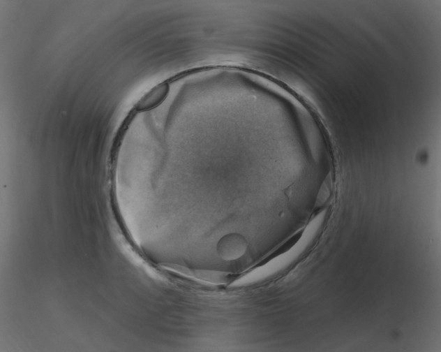 X0000116631088200912312155