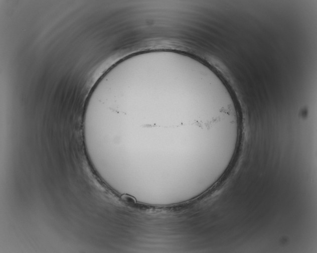 X0000116631089200912312155