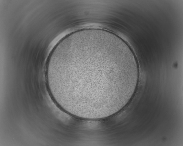X0000116631090200912312154