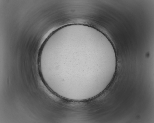 X0000116631091200912312154