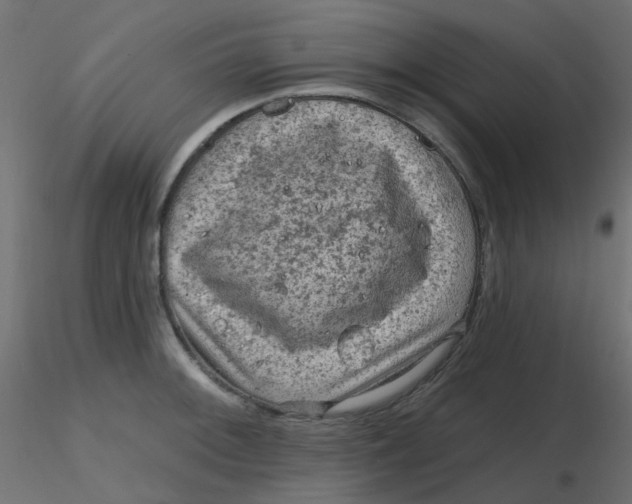 X0000116631092200912312154