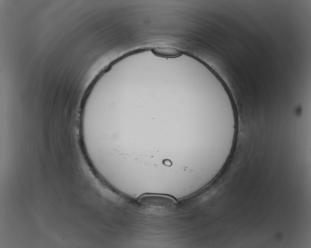 X0000116631093200912312154